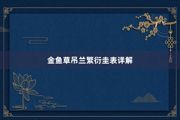 金鱼草吊兰繁衍圭表详解